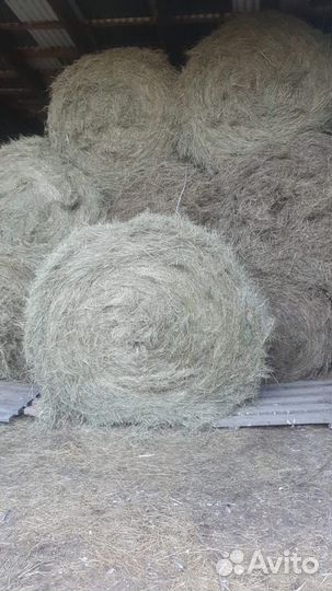 Сено в рулонах