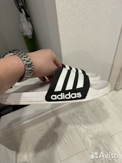 Тапочки мужские Adidas