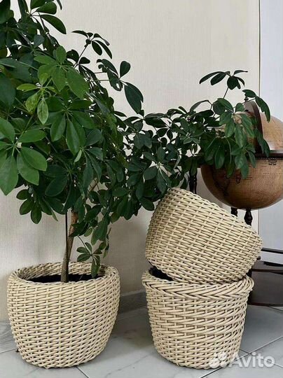 Кашпо цветочное из ротанга