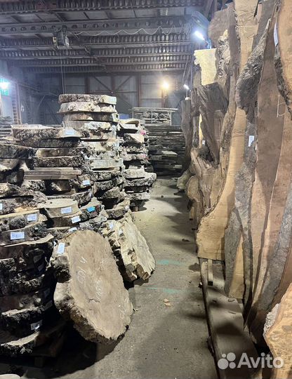 Слэб карагач каповый