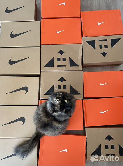 Zara, H&M, Massimo Dutti доставка из Турции, байер