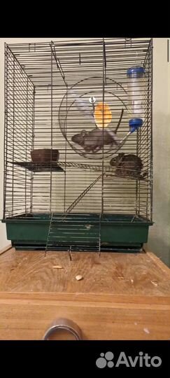 Клетка для грызунов