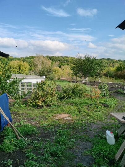 Дом 80,3 м² на участке 50 сот.