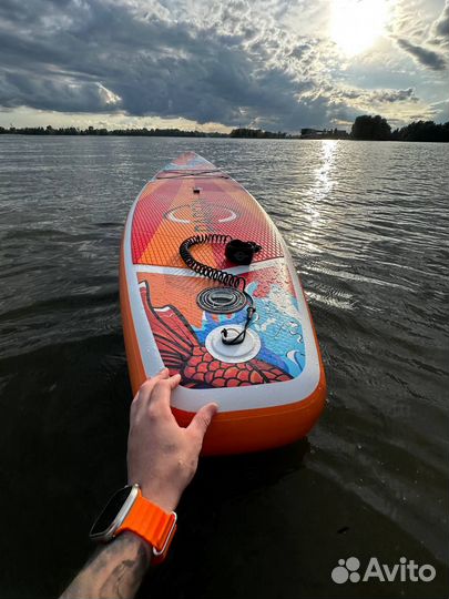 Supboard koi