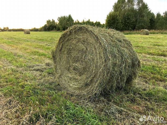 Сено в рулонах разнотравье 2023 купить в Катайске | Животные и ...