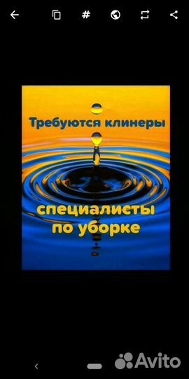 Уборщица Мастер Чистоты