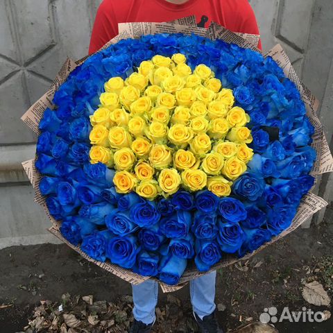 Синие розы