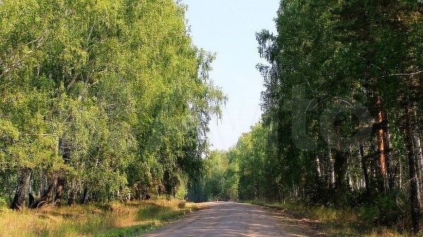 Участок 10,1 сот. (личное подсобное хозяйство (лпх))