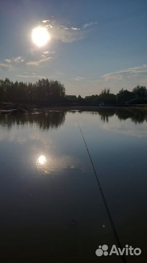 Охота и рыбалка