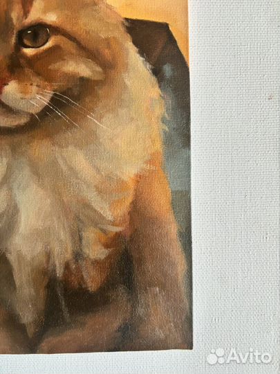 Рыжий котик. Картина маслом