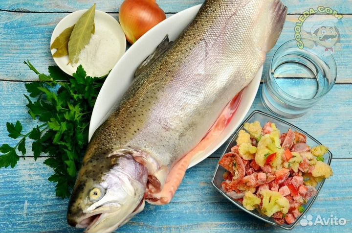 Свежемороженая форель оптом