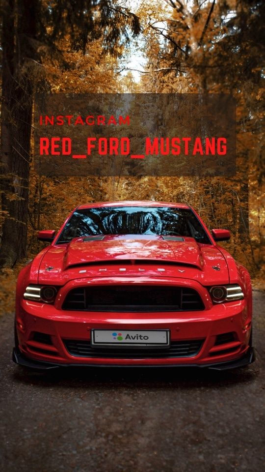 Ford Mustang: фото владельца