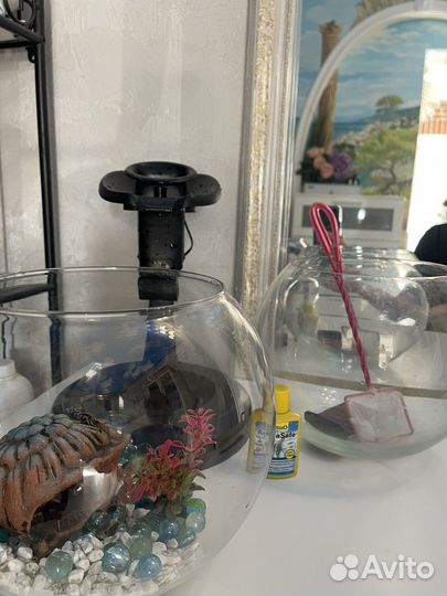 Аквариум