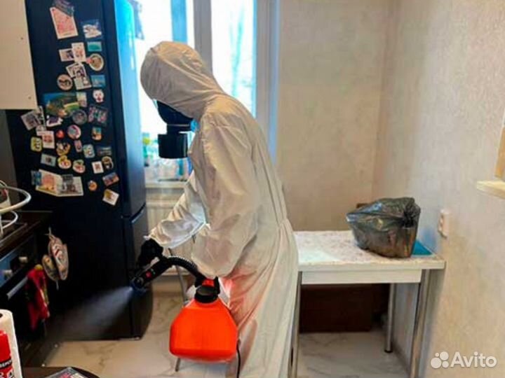 Дезинфекция методом тумана. Дезинсекция