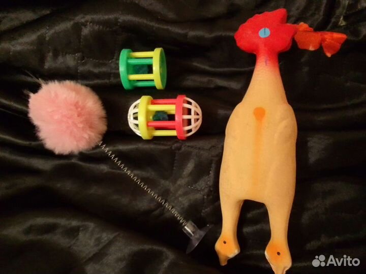 Игрушки, поводок и расческа для кошек