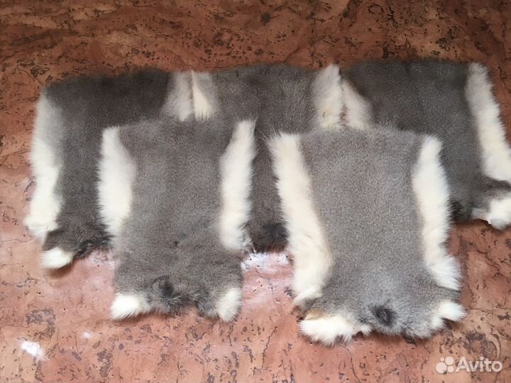 Беличьи шкурки