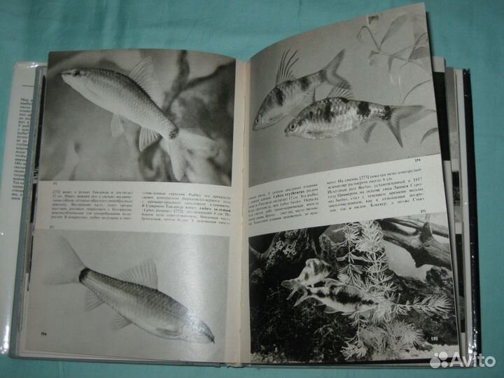 Иллюстрированная энциклопедия рыб. 1975 год
