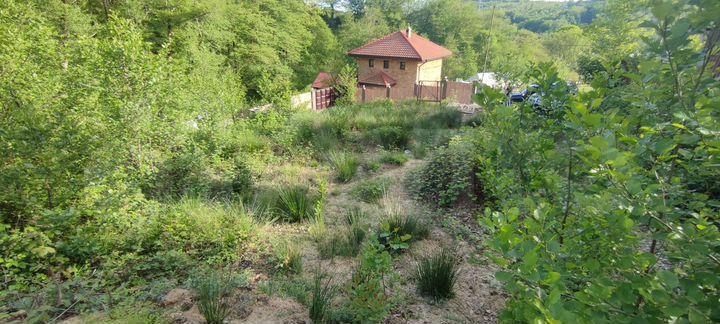 Участок 4,9 сот. (СНТ, ДНП)