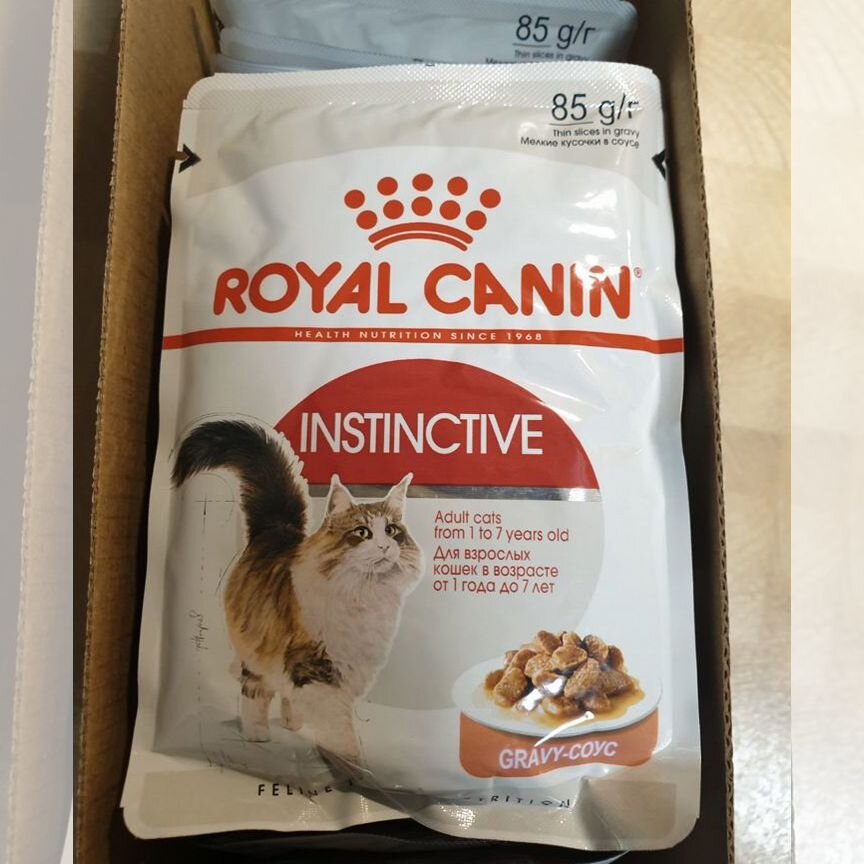 Влажный корм для кошек royal canin