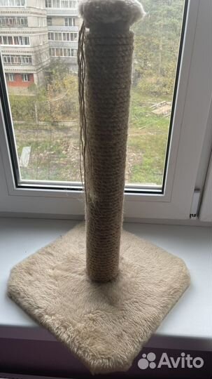 Когтеточка