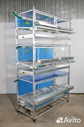 Клетка для кур-несушки малая