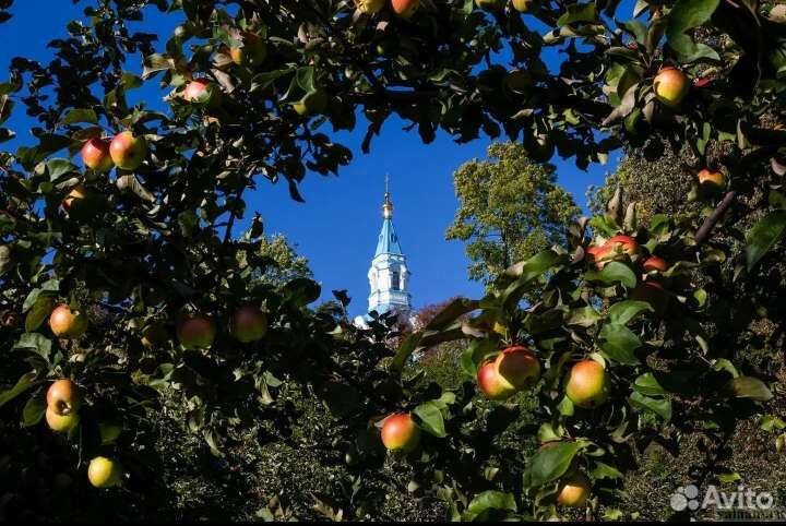 Валаам. Катер на Валаам