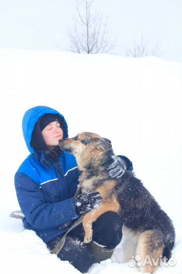 В приют пришла сама