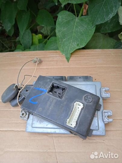 Мозги на renault