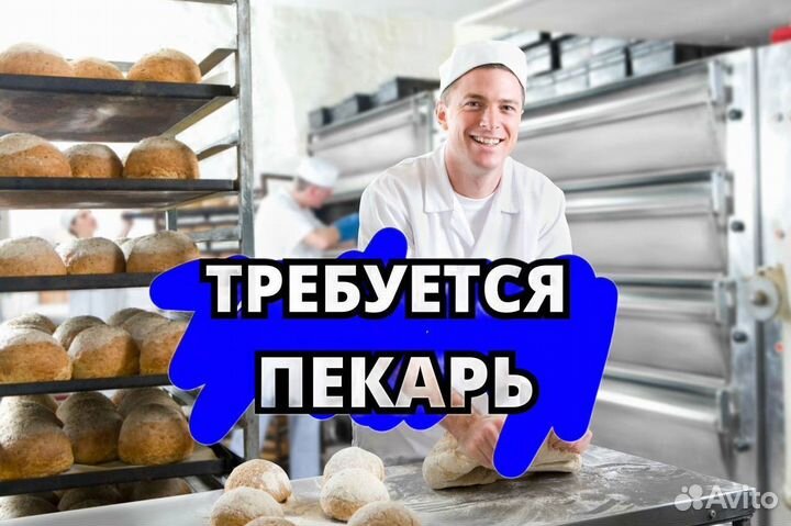 Пекарь с ежедневным расчетом. ut313