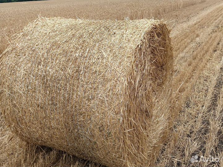 Солома в рулонах