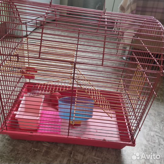 Клетка для грызунов с домиком, поилкой и колесом