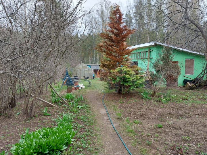 Дом 58 м² на участке 9,7 сот.