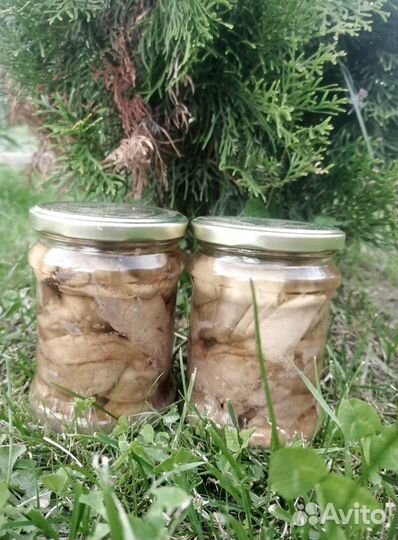 Печень трески