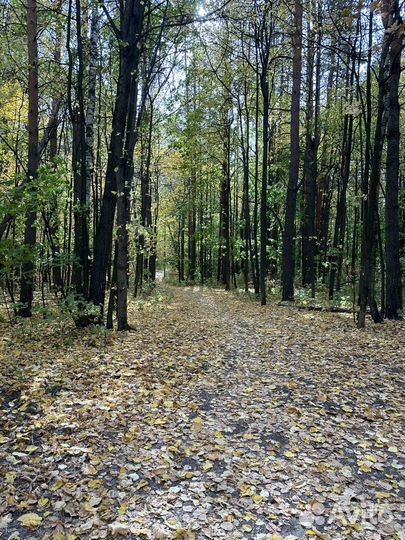 Напишу стихи на любую тему