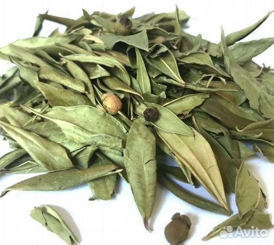 Целебные благовония. Мирт, шалфей, дубровник