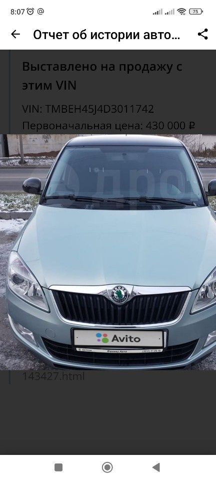 Skoda Fabia: фото владельца
