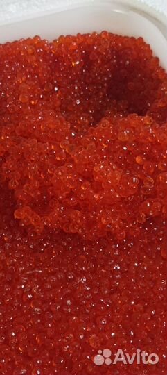 Икра Кижуч Камчатка 2023