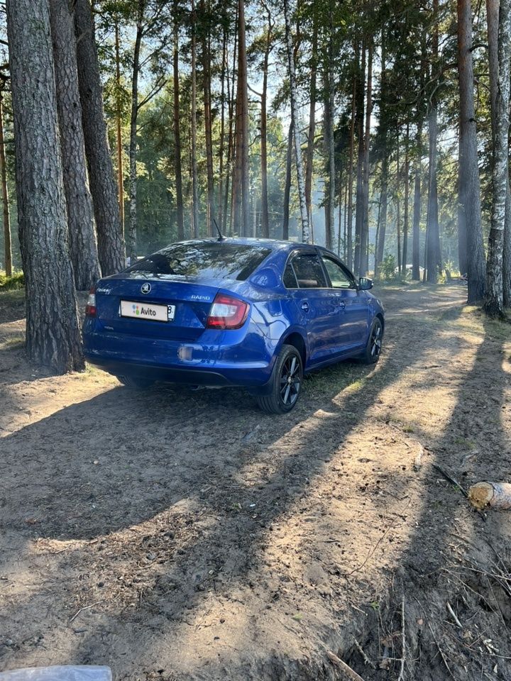 Skoda Rapid: фото владельца
