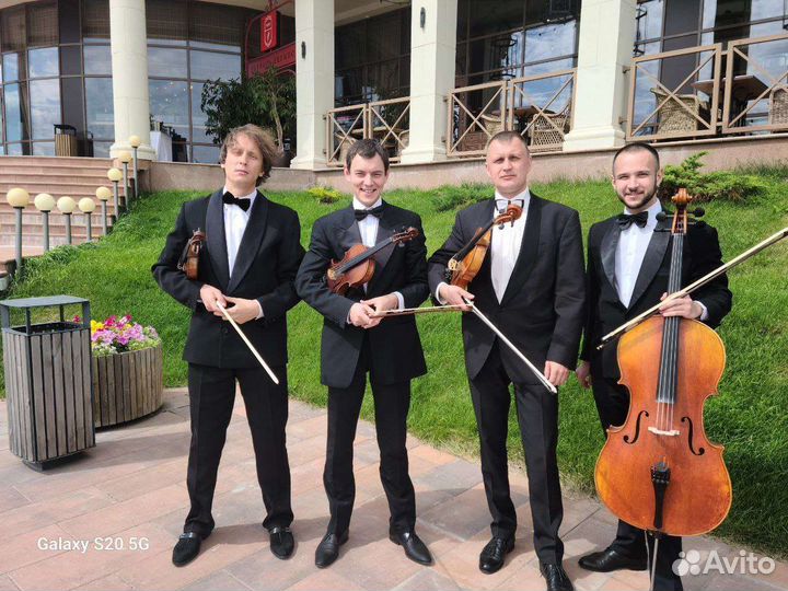 Музыканты на свадьбу - 