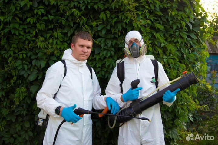 Дезинсекция, клопов, тараканов, блох, дезинфекция