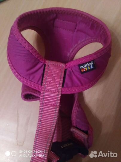 Одежда для маленьких собак