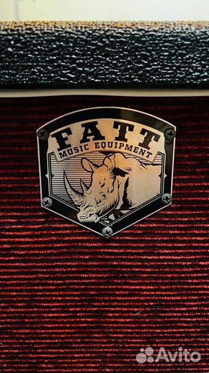 Гитарный кабинет 210 fatt