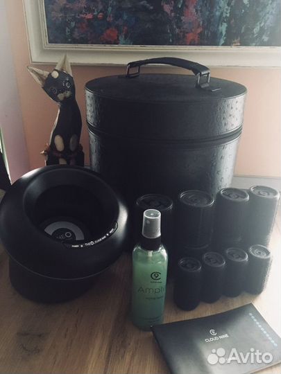 Бигуди TheO индукция