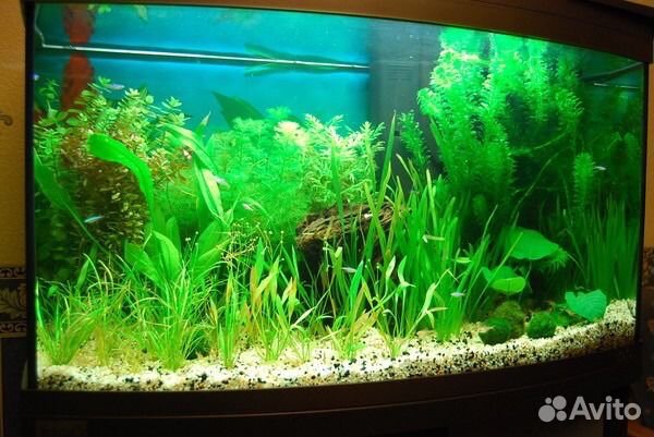 Продам террариум