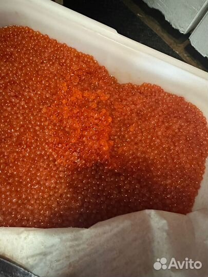 Ищу инвестора компаньона