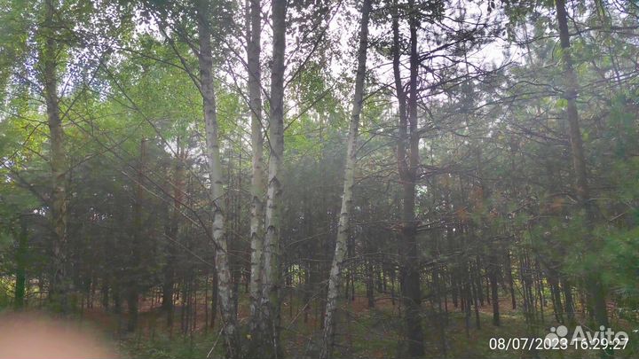 Отдам дрова бесплатно самовывоз