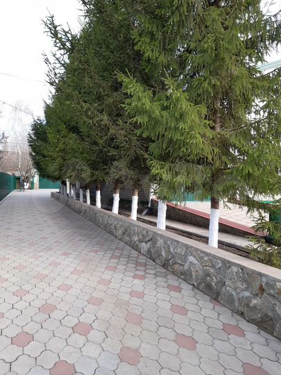 Дом 386,6 м² на участке 17 сот.