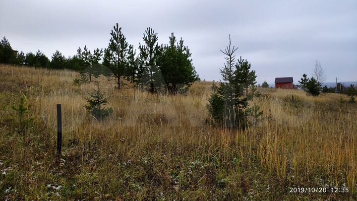 Участок 17 сот. (СНТ, ДНП)