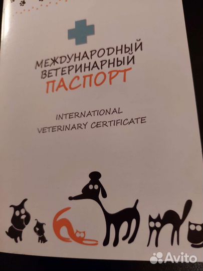 Собака в добрые руки щенок