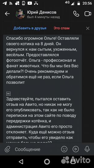 Передержка кошек